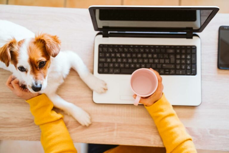 work from home routine